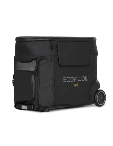 SAC ECOFLOW DELTA PRO