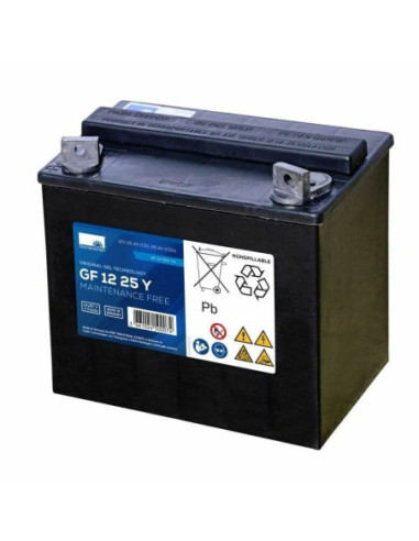 BATTERIE GEL GF12025YG 12V 28AH