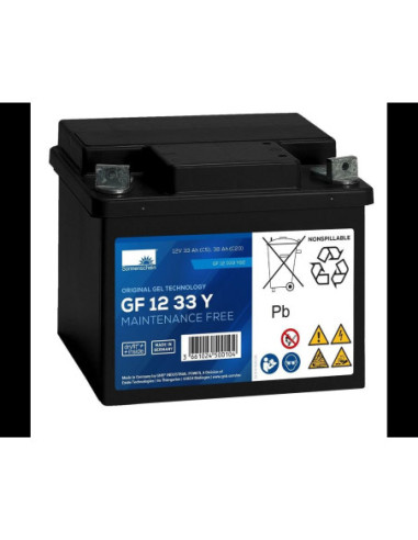 BATTERIE GEL GF12033YG1 12V 38AH