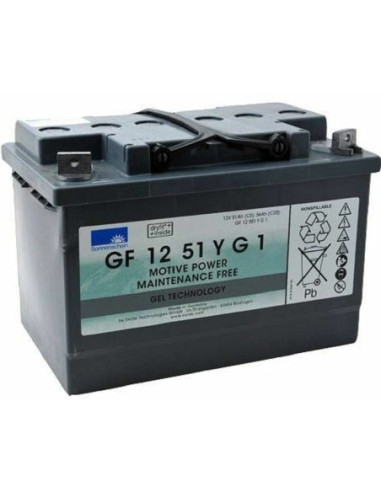 BATTERIE GEL GF12051YG1 12V 56AH