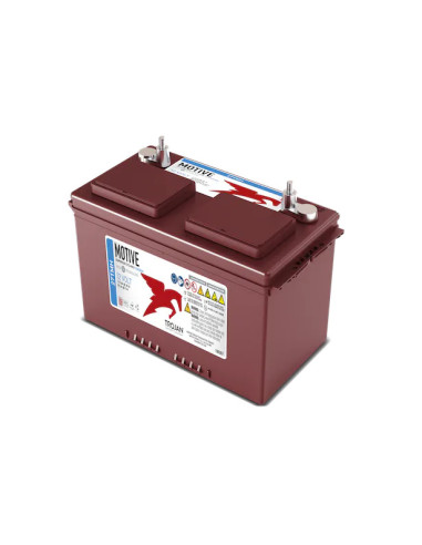 Batterie Trojan 27TMH 12V 115Ah