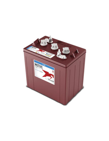 Batterie Trojan T125 6V 240Ah