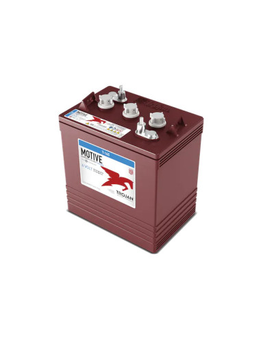 Batterie Trojan T145 6V 260Ah