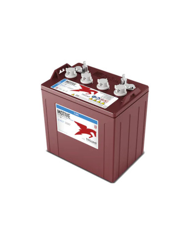 Batterie Trojan T875 8V 170Ah